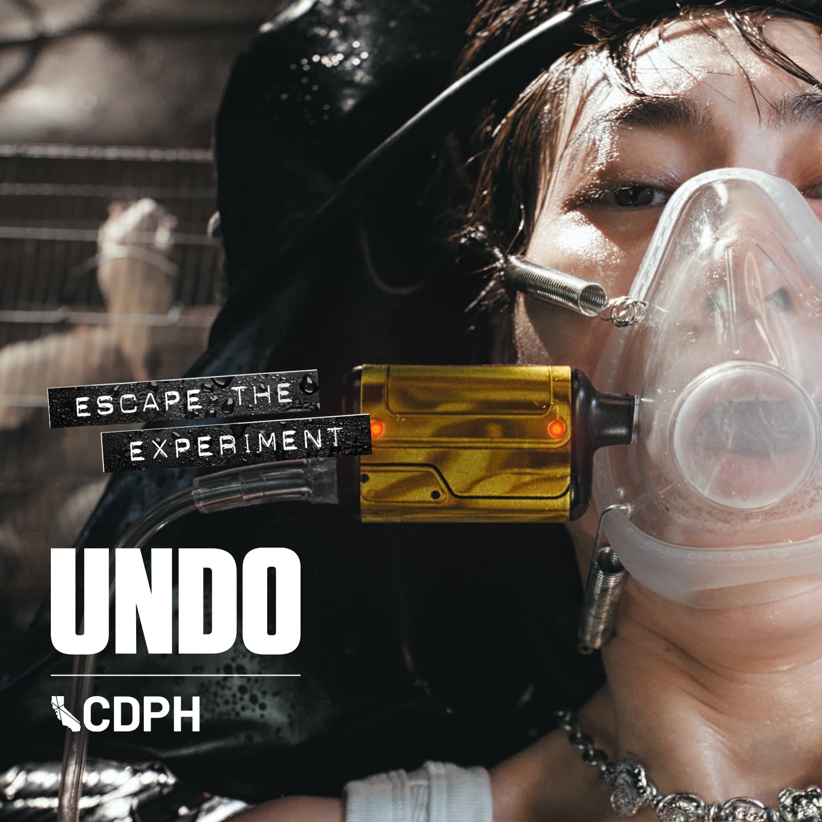 UNDO | CDPH